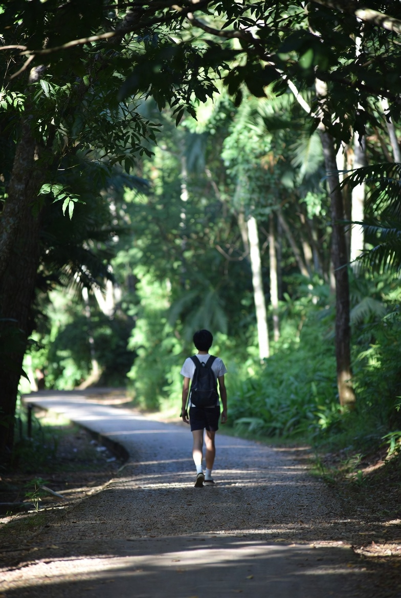 Mencari Sentuhan Alam di Setiap Langkah